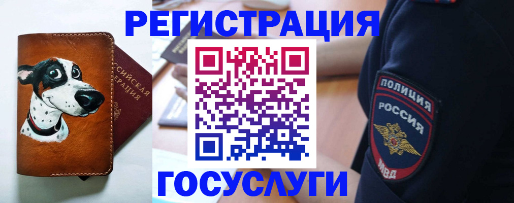 временная регистрация в квартире в Ростовской области